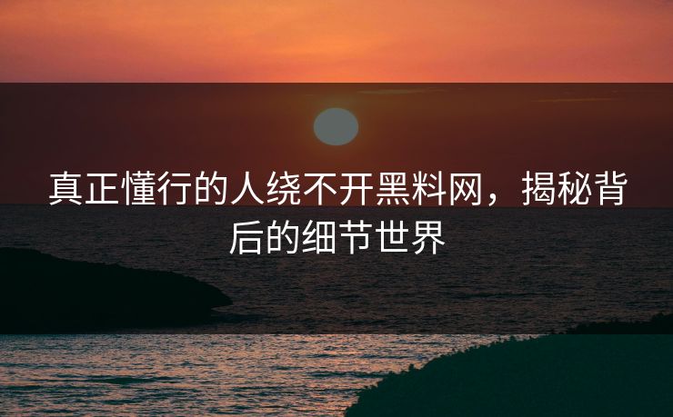 真正懂行的人绕不开黑料网，揭秘背后的细节世界