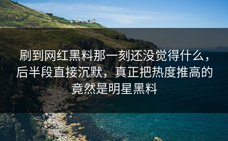 刷到网红黑料那一刻还没觉得什么，后半段直接沉默，真正把热度推高的竟然是明星黑料  第1张