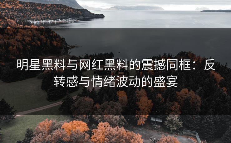 明星黑料与网红黑料的震撼同框：反转感与情绪波动的盛宴  第1张
