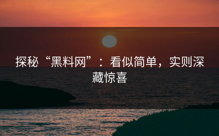 探秘“黑料网”：看似简单，实则深藏惊喜  第1张